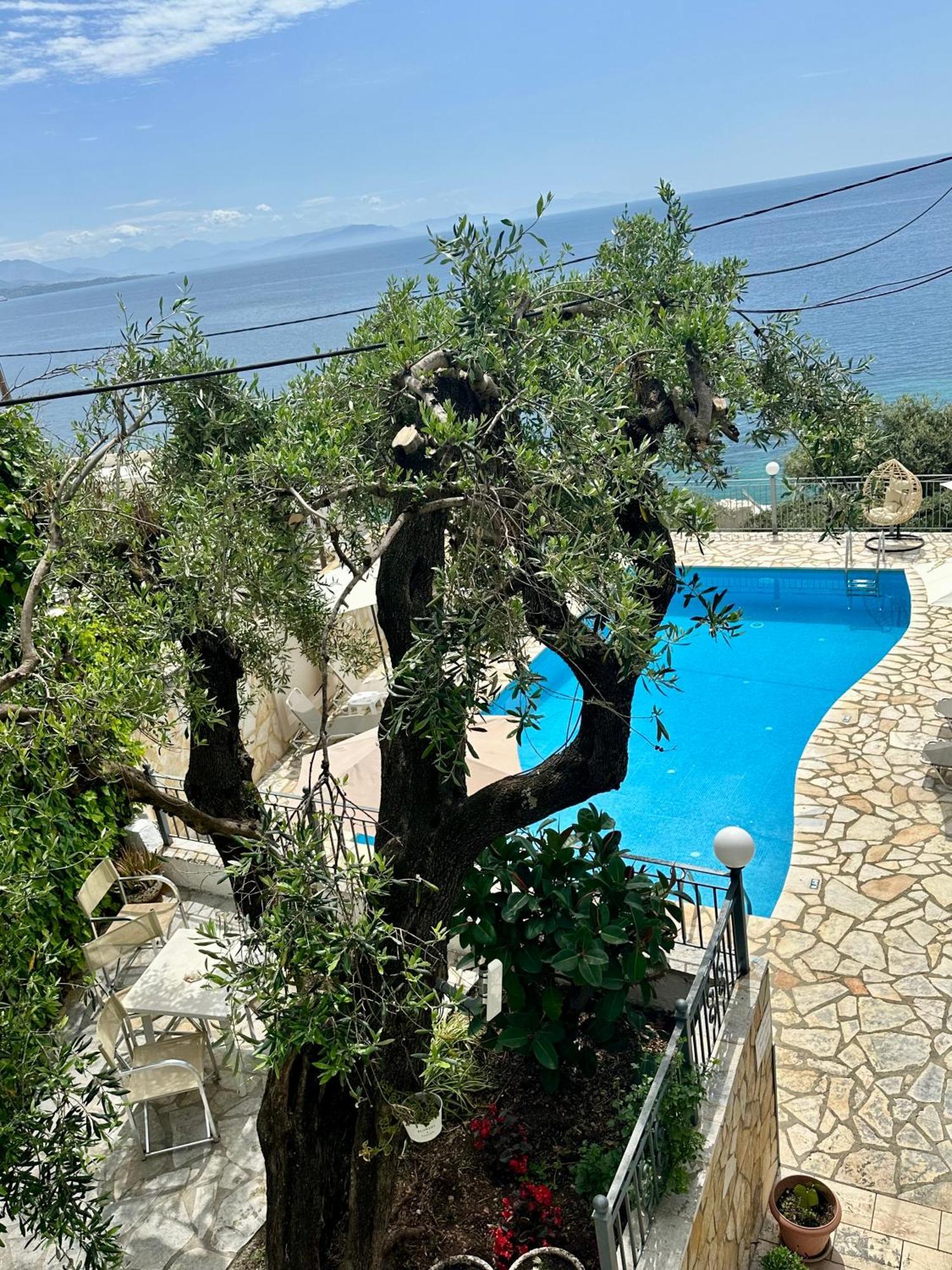 Vladimiros Apartments บาร์บาตี ภายนอก รูปภาพ